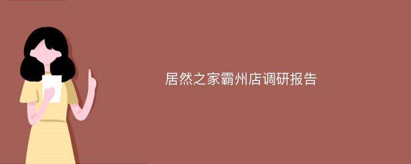 居然之家霸州店调研报告