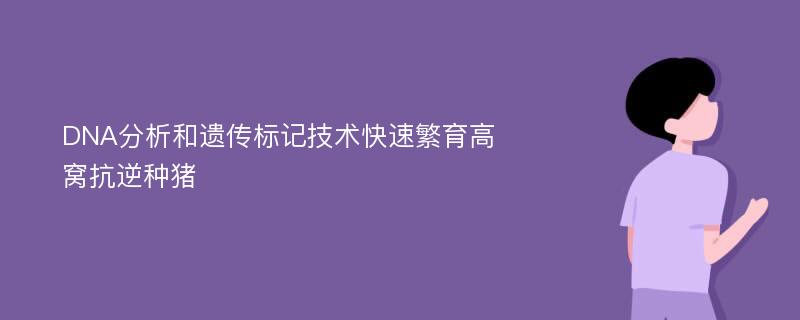 DNA分析和遗传标记技术快速繁育高窝抗逆种猪