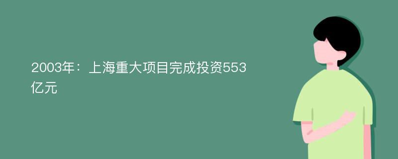 2003年：上海重大项目完成投资553亿元