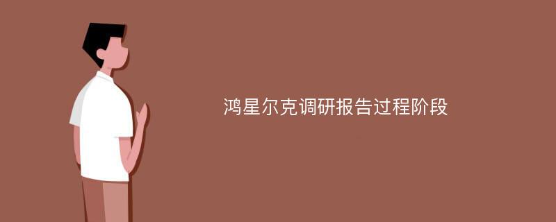 鸿星尔克调研报告过程阶段