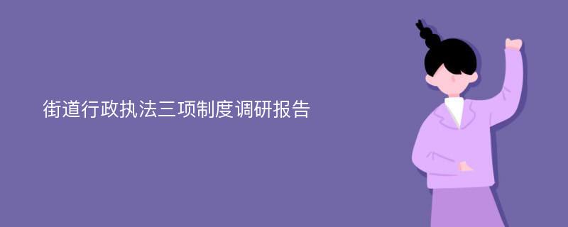 街道行政执法三项制度调研报告