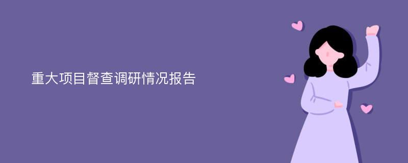 重大项目督查调研情况报告