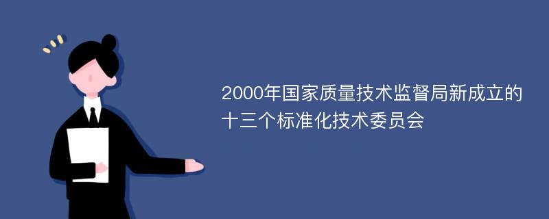 2000年国家质量技术监督局新成立的十三个标准化技术委员会