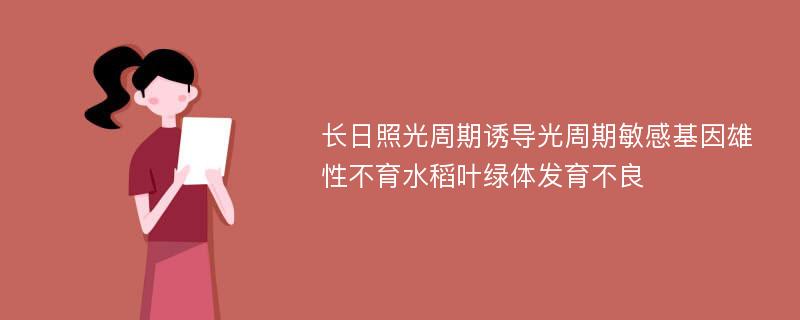 长日照光周期诱导光周期敏感基因雄性不育水稻叶绿体发育不良