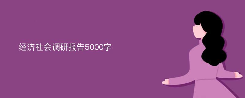 经济社会调研报告5000字